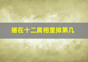 猪在十二属相里排第几