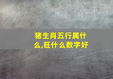 猪生肖五行属什么,旺什么数字好