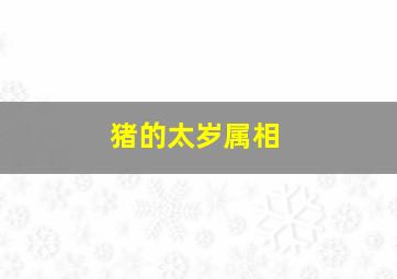 猪的太岁属相