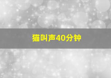 猫叫声40分钟