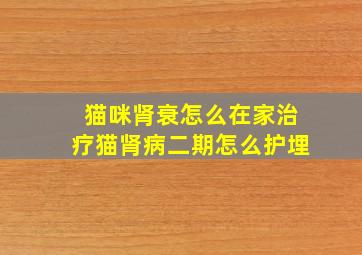 猫咪肾衰怎么在家治疗猫肾病二期怎么护埋