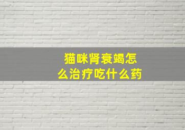 猫咪肾衰竭怎么治疗吃什么药