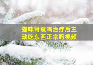 猫咪肾衰竭治疗后主动吃东西正常吗视频