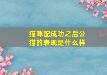 猫咪配成功之后公猫的表现是什么样