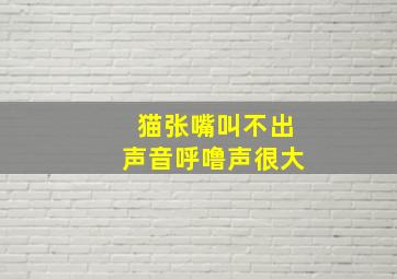 猫张嘴叫不出声音呼噜声很大