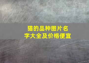 猫的品种图片名字大全及价格便宜