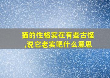 猫的性格实在有些古怪,说它老实吧什么意思