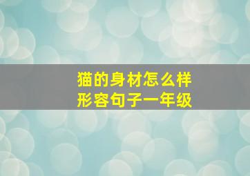 猫的身材怎么样形容句子一年级