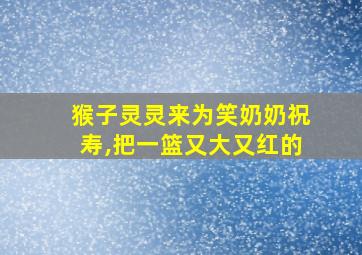 猴子灵灵来为笑奶奶祝寿,把一篮又大又红的