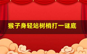 猴子身轻站树梢打一谜底