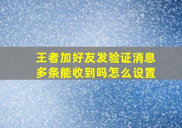 王者加好友发验证消息多条能收到吗怎么设置