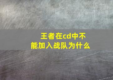 王者在cd中不能加入战队为什么