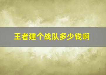 王者建个战队多少钱啊