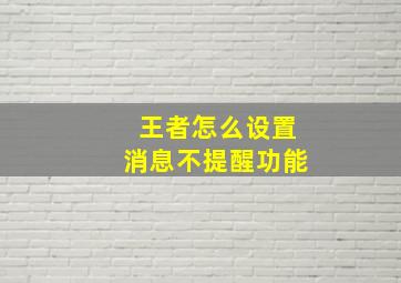 王者怎么设置消息不提醒功能