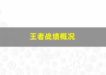 王者战绩概况