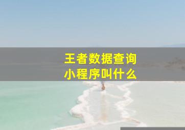 王者数据查询小程序叫什么