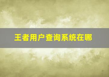 王者用户查询系统在哪