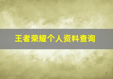 王者荣耀个人资料查询