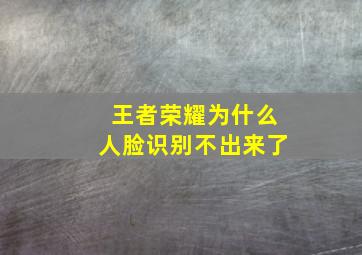 王者荣耀为什么人脸识别不出来了