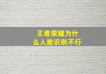 王者荣耀为什么人脸识别不行