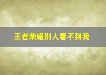 王者荣耀别人看不到我