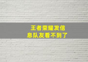 王者荣耀发信息队友看不到了