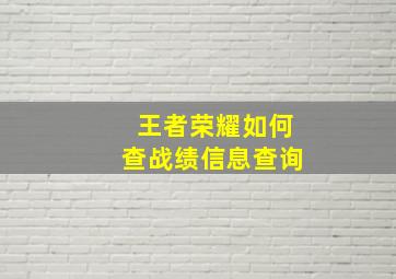 王者荣耀如何查战绩信息查询