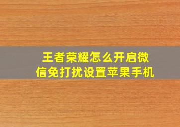 王者荣耀怎么开启微信免打扰设置苹果手机