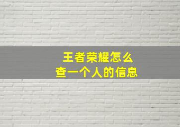 王者荣耀怎么查一个人的信息