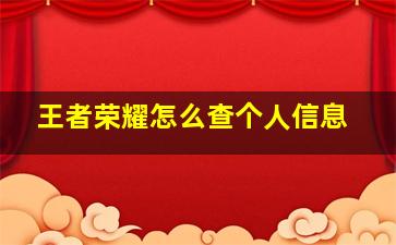 王者荣耀怎么查个人信息