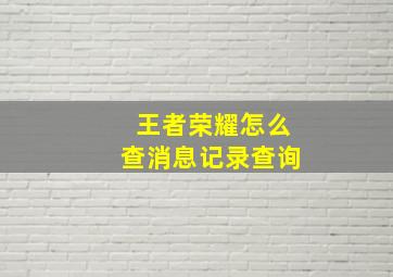 王者荣耀怎么查消息记录查询