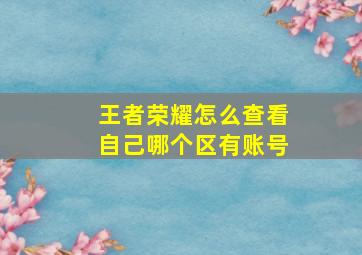 王者荣耀怎么查看自己哪个区有账号