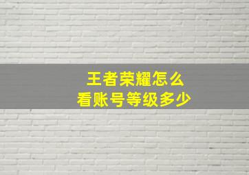 王者荣耀怎么看账号等级多少