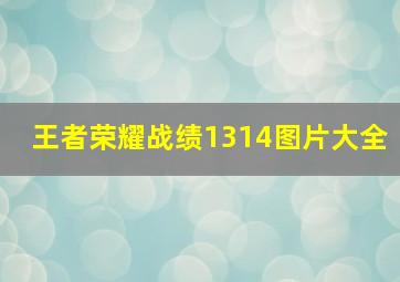 王者荣耀战绩1314图片大全