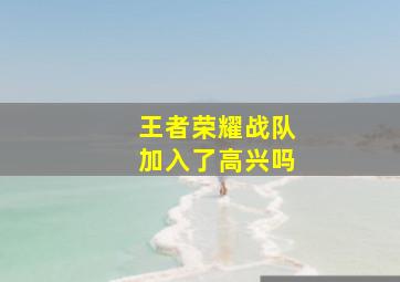 王者荣耀战队加入了高兴吗