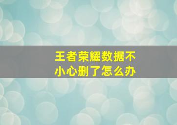 王者荣耀数据不小心删了怎么办