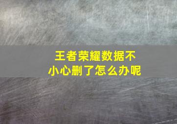 王者荣耀数据不小心删了怎么办呢