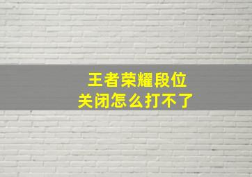 王者荣耀段位关闭怎么打不了