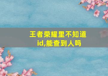 王者荣耀里不知道id,能查到人吗