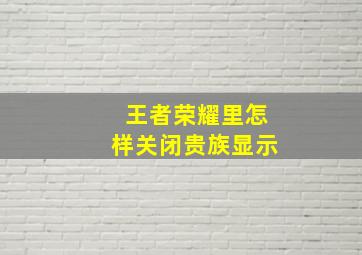 王者荣耀里怎样关闭贵族显示