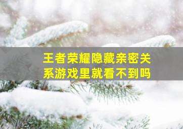 王者荣耀隐藏亲密关系游戏里就看不到吗