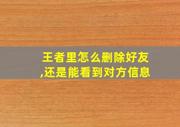 王者里怎么删除好友,还是能看到对方信息