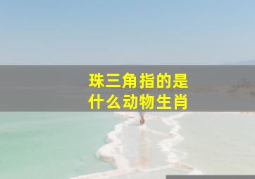 珠三角指的是什么动物生肖