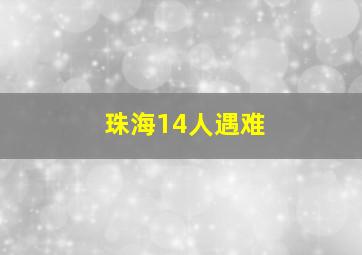 珠海14人遇难