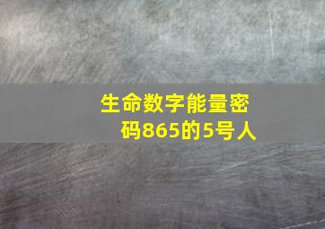 生命数字能量密码865的5号人