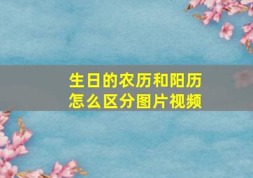 生日的农历和阳历怎么区分图片视频