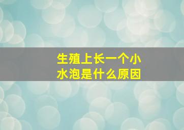 生殖上长一个小水泡是什么原因