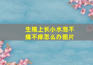 生殖上长小水泡不痛不痒怎么办图片