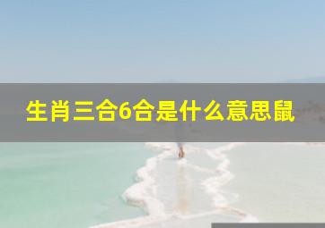 生肖三合6合是什么意思鼠