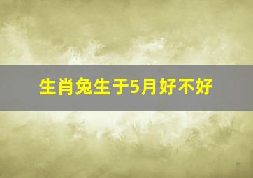 生肖兔生于5月好不好